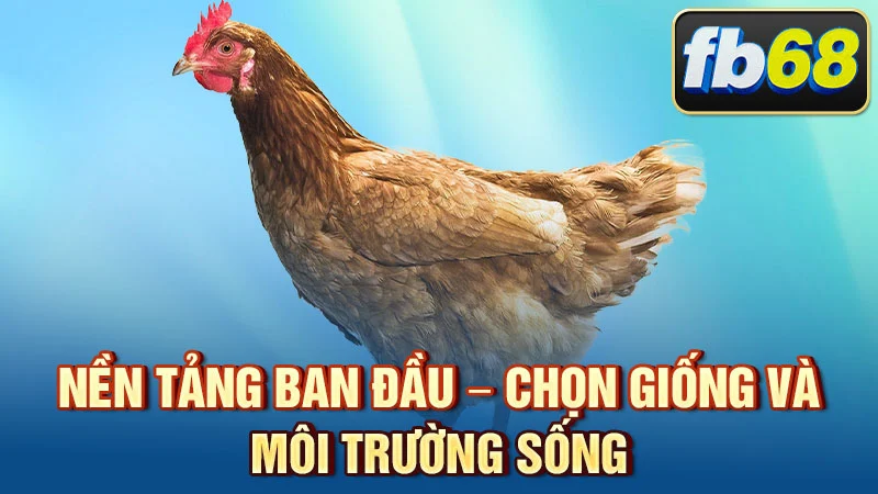 Nền tảng ban đầu – chọn giống và môi trường sống
