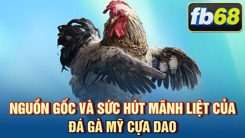 Nguồn gốc và sức hút mãnh liệt của đá gà Mỹ cựa dao