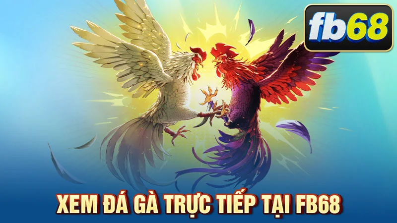 Xem đá gà trực tiếp tại FB68