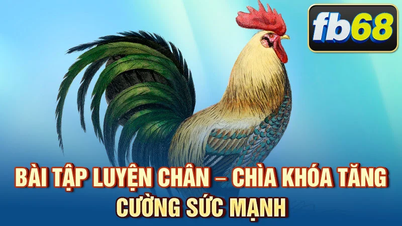 Bài tập luyện chân – chìa khóa tăng cường sức mạnh