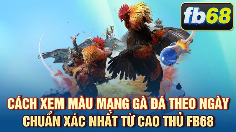Cách Xem Màu Mạng Gà Đá Theo Ngày Chuẩn Xác Nhất Từ Cao Thủ FB68