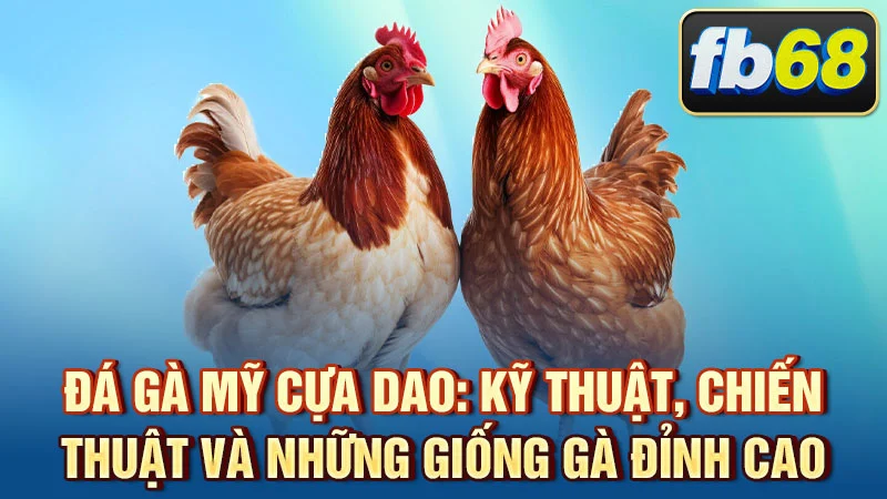 Đá Gà Mỹ Cựa Dao: Kỹ Thuật, Chiến Thuật và Những Giống Gà Đỉnh Cao