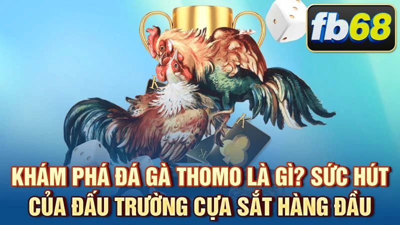 Khám Phá Đá Gà Thomo Là Gì? Sức Hút Của Đấu Trường Cựa Sắt Hàng Đầu